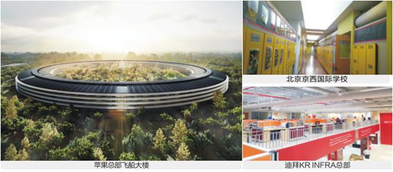 xc sports(中国区)-官方网站