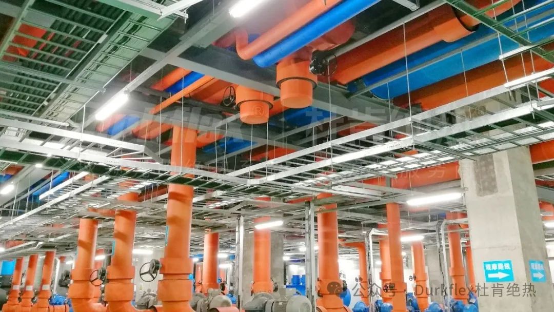 xc sports(中国区)-官方网站