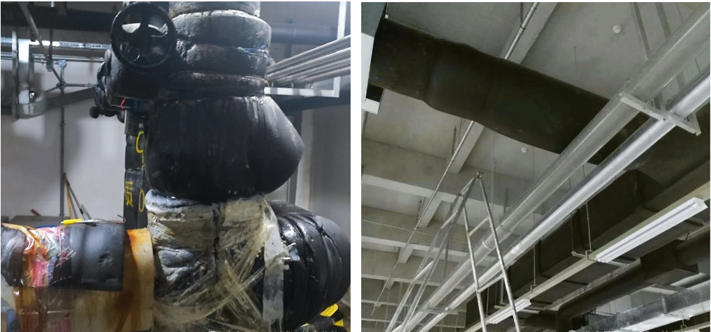 xc sports(中国区)-官方网站